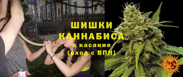 марки nbome Богданович