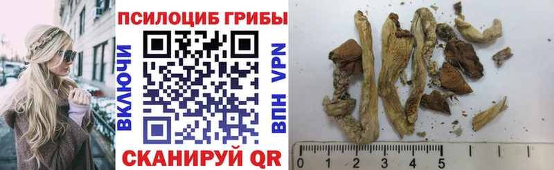 Псилоцибиновые грибы Psilocybe  мориарти наркотические препараты  Уссурийск 